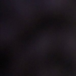 Meet your Posher, Annabelle